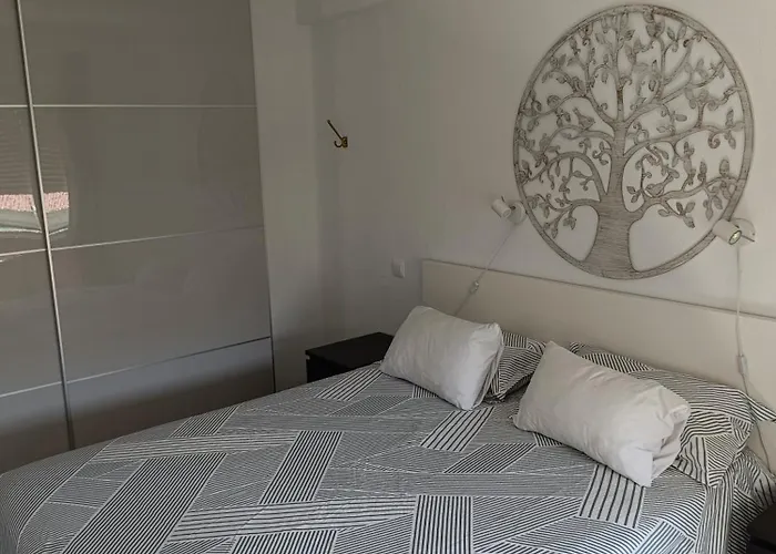 Coronado Perla Pool Centro * ネルハ